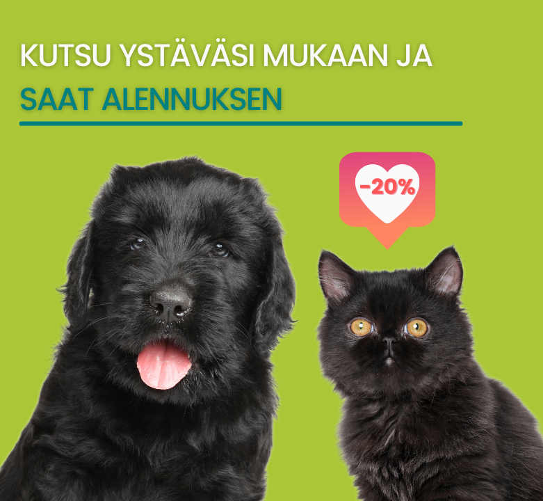 Ystävienpäivät ovat palanneet Black Friday-aleihin